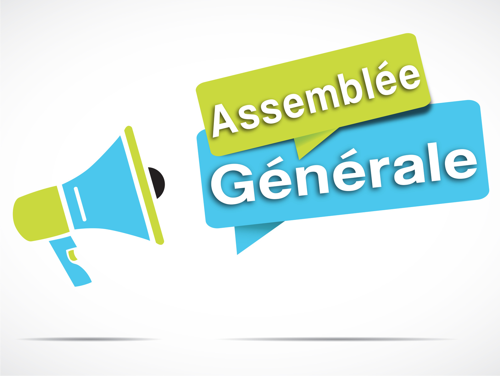 Assembl e g n rale annuelle d2s initiatives